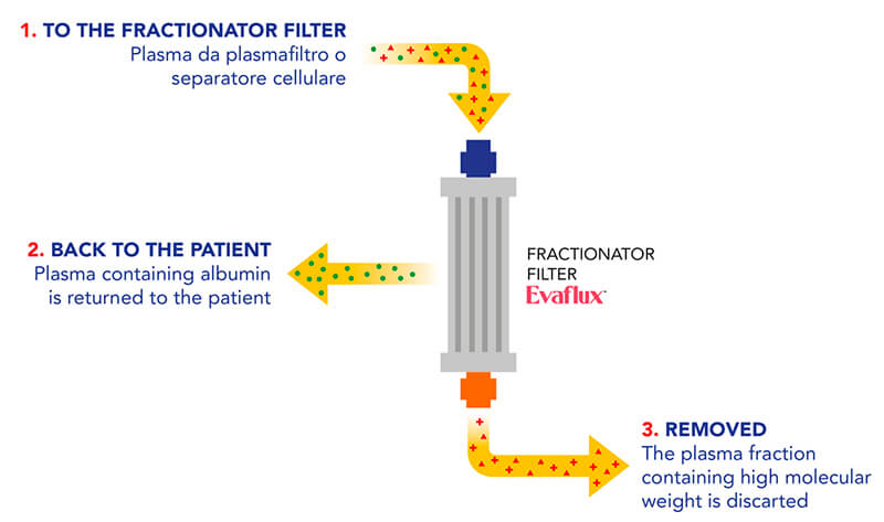 EVAFLUX fractionator filter