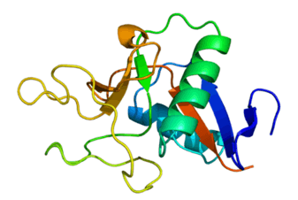 Pancreatic Stone Protein (PSP)