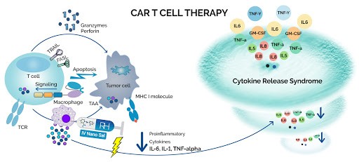 CAR T CELL THERAPY