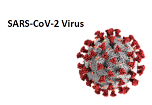 SARS-CoV-2 Virus and our Therapeutic Solutions