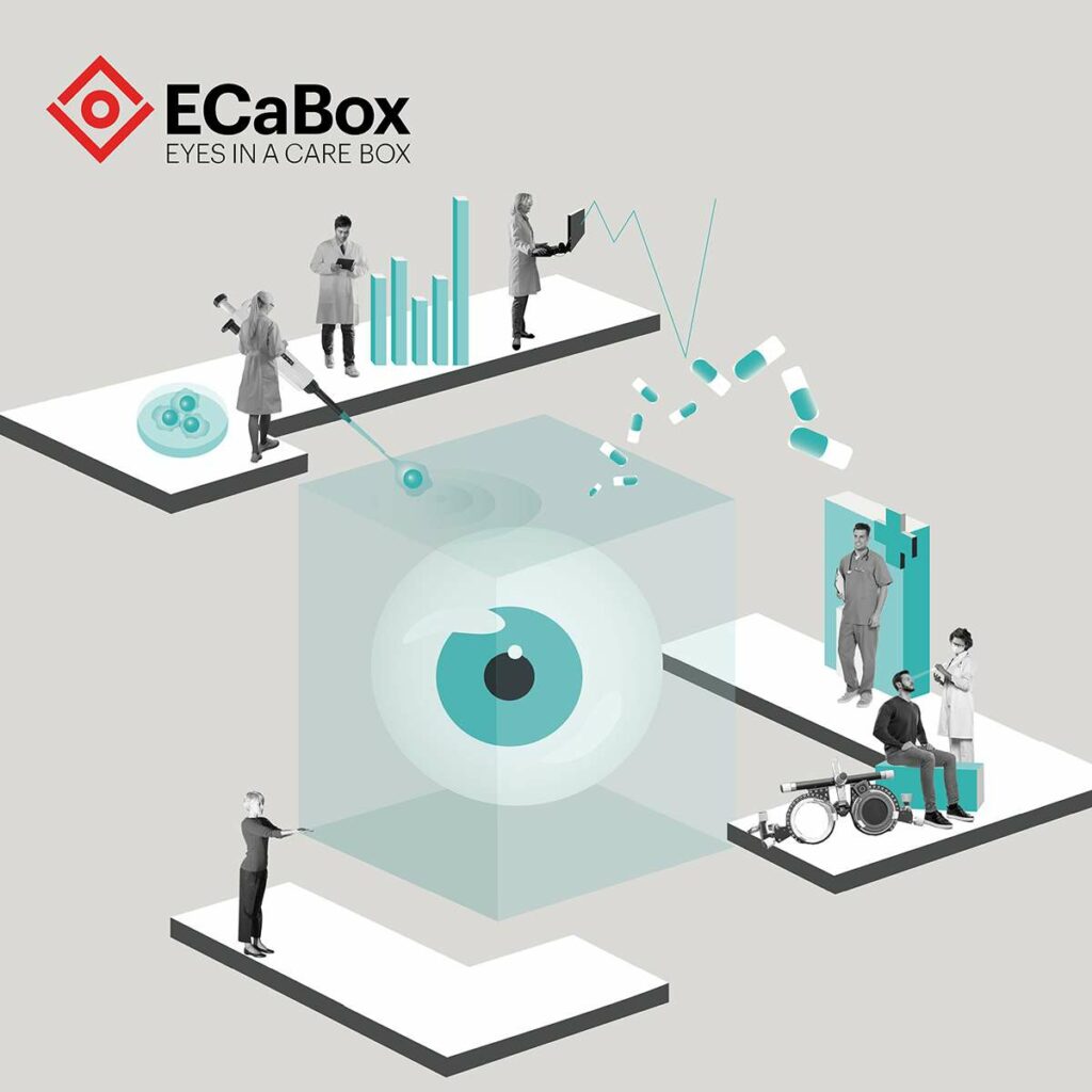 Aferetica nel team del progetto ECaBox
