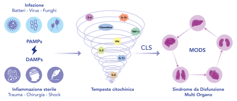 SIRS/Sepsi/Shock Settico tempesta citochinica