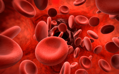 Ematologia Ematologia