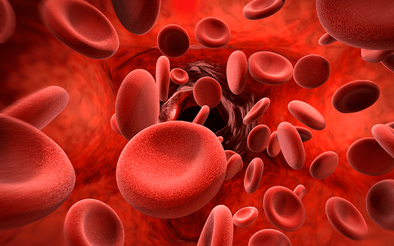 Ematologia