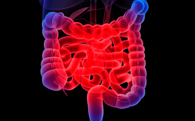 Gastroenterolgia Gastroenterolgia