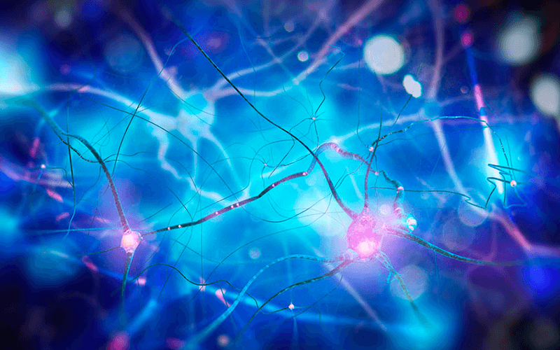 Neurologia