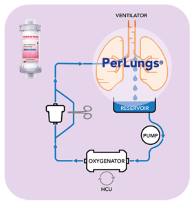 PerLungs: Dedicated Transplantation Therapy Systems