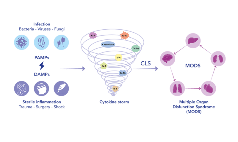 SIRS cytokine cascade